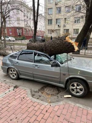 Прикрепленное изображение: 262402749_6443755305696346_8041800799990650633_n.jpg